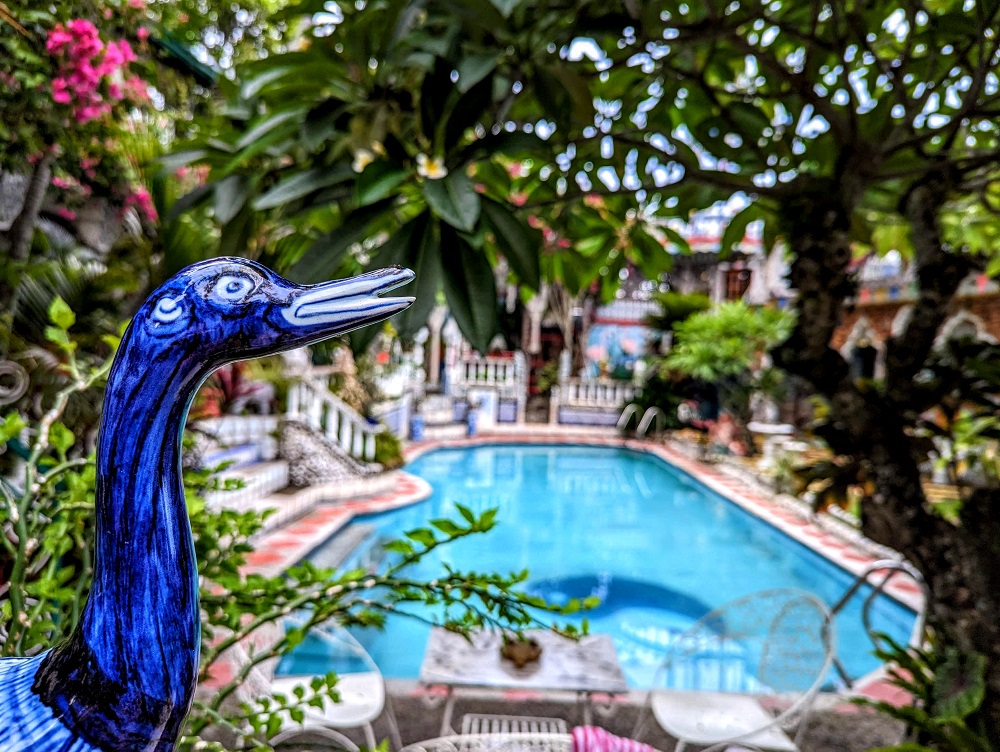 Airbnb Le Manoir des Bougainvilliers - You won't feel blue when staying here