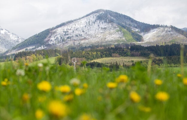 Snow in the Malá Fatra mountain range.